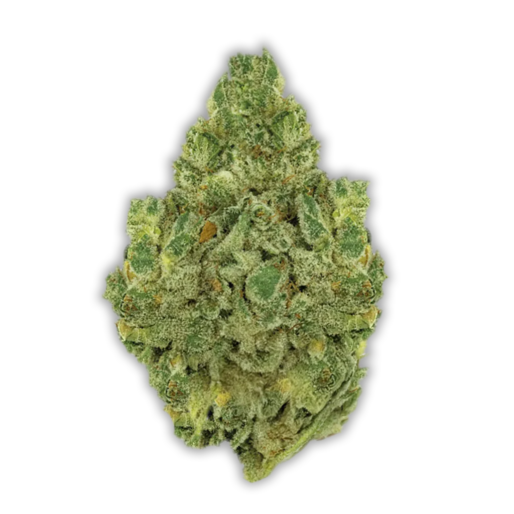 420 Natural 20/1 CA GG: Gorilla Glue 4