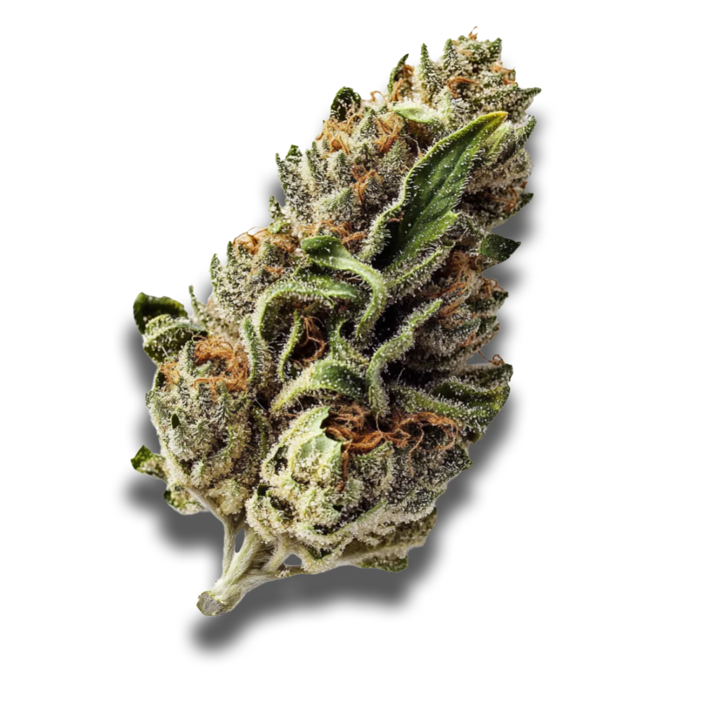420 Evolution 30/1 CA MMI: Miracle Mints