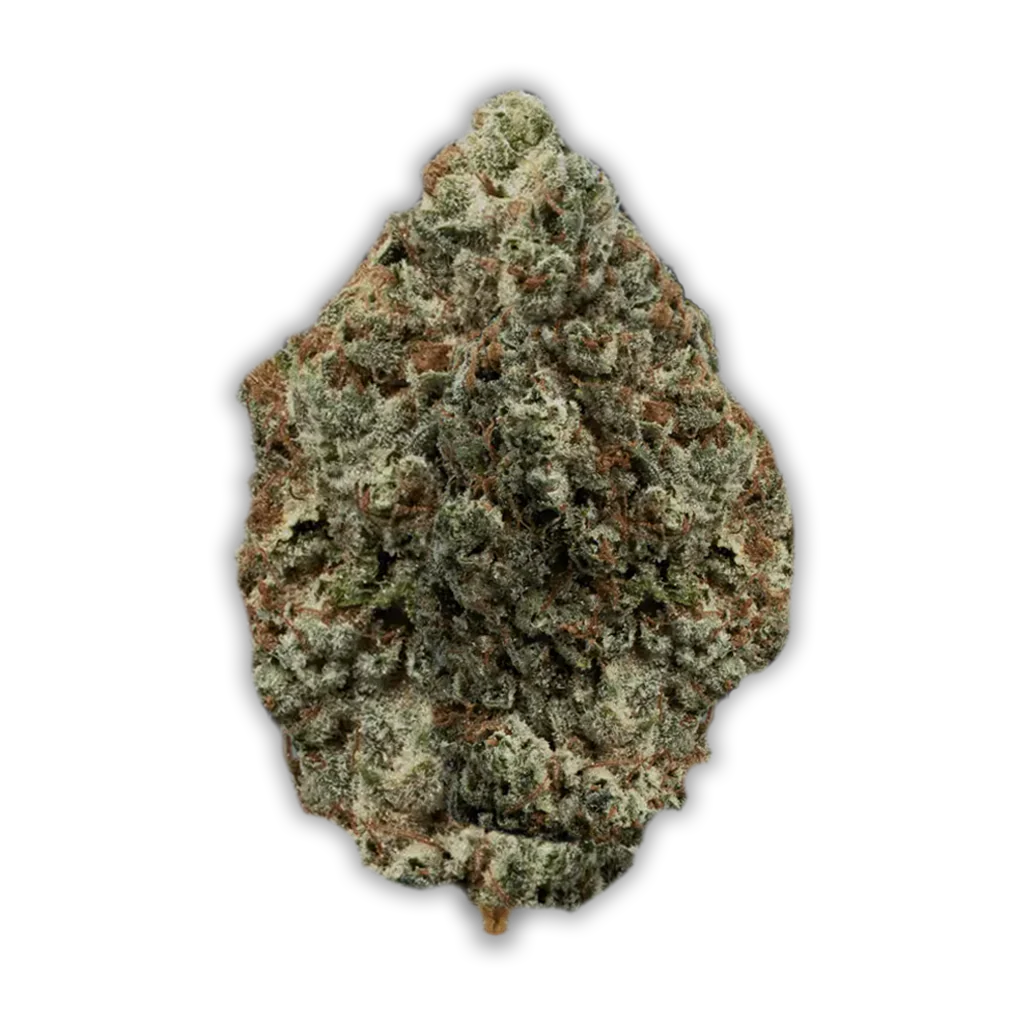 Avaay Khalifa 24/1 KK: Khalifa Kush