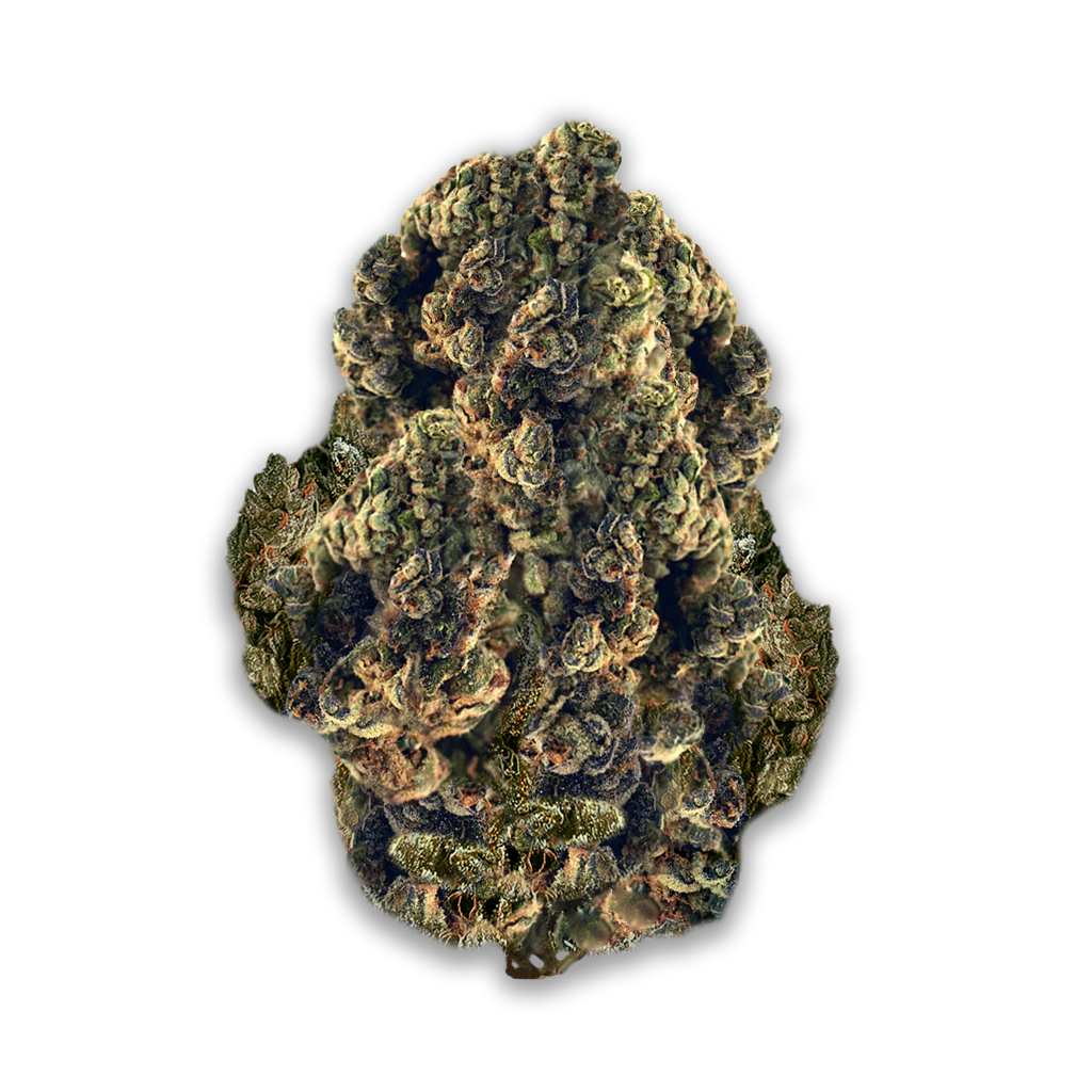 Imc Thc22 T05 Somango Skunk