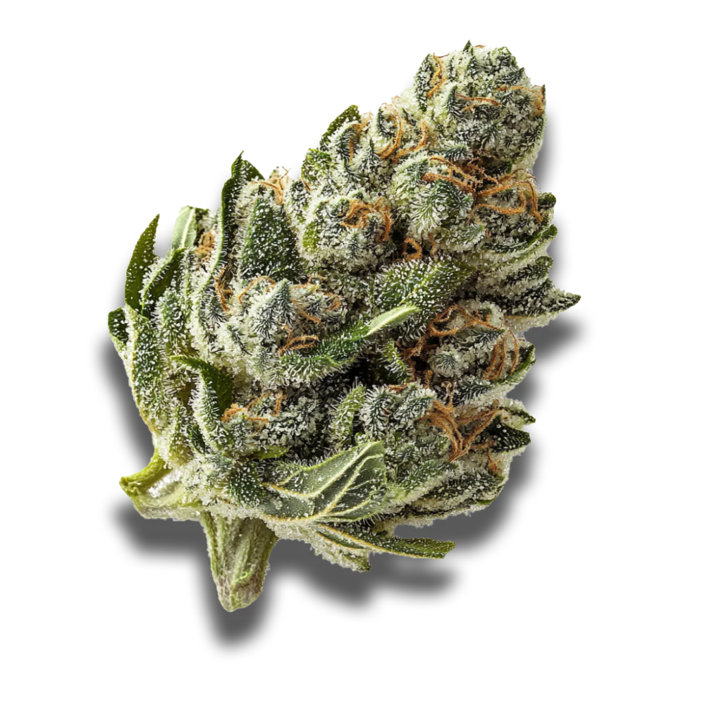 Demecan Core JM7 28:01: Jelly Mints