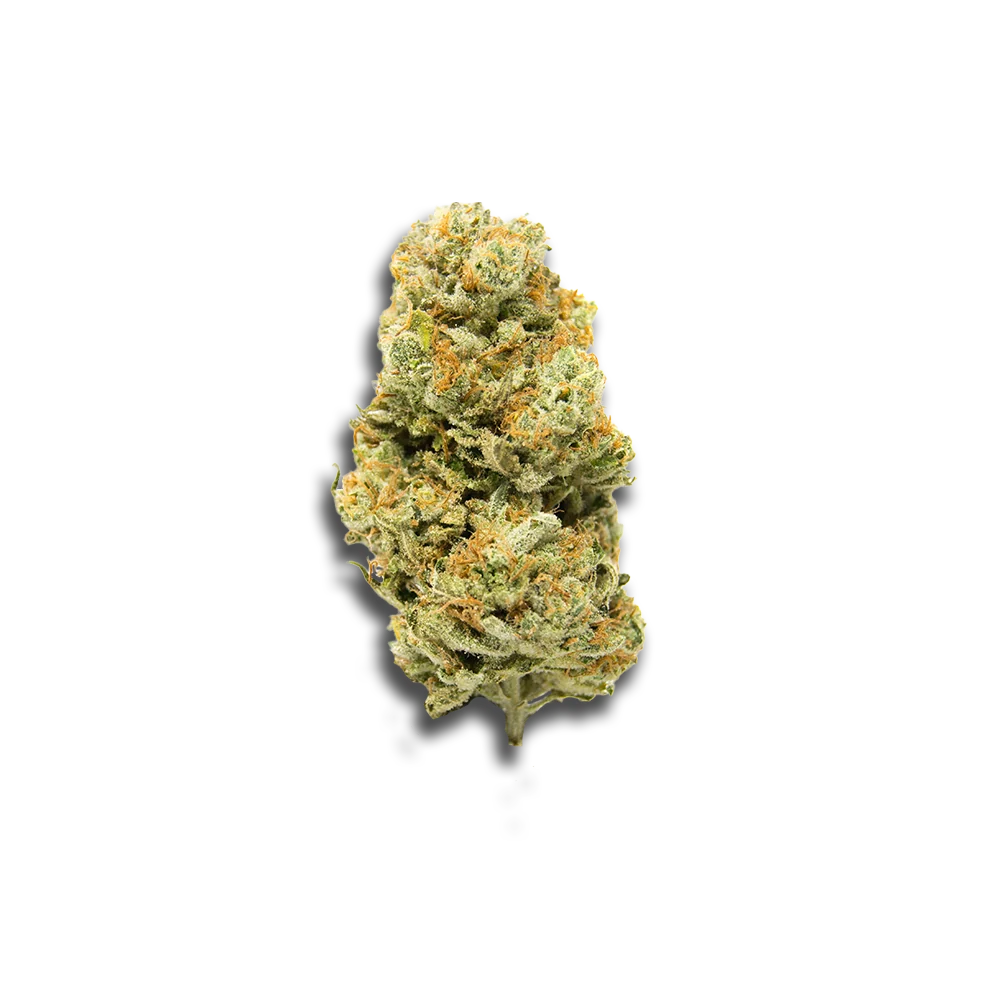 Cannabis flos 10/12 LS Ku. Basotho Even