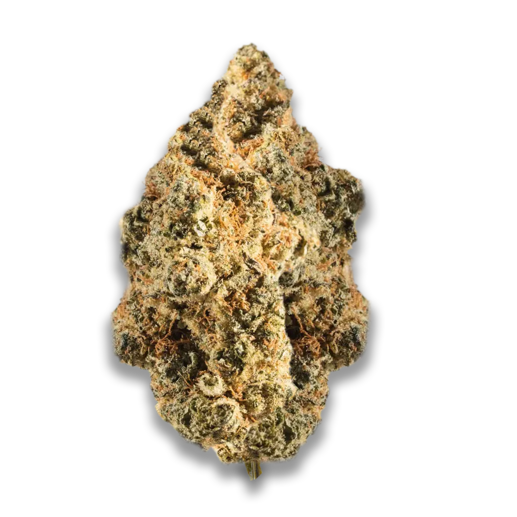 Cannabis flos 20/1 CSF Ku. Bashengo