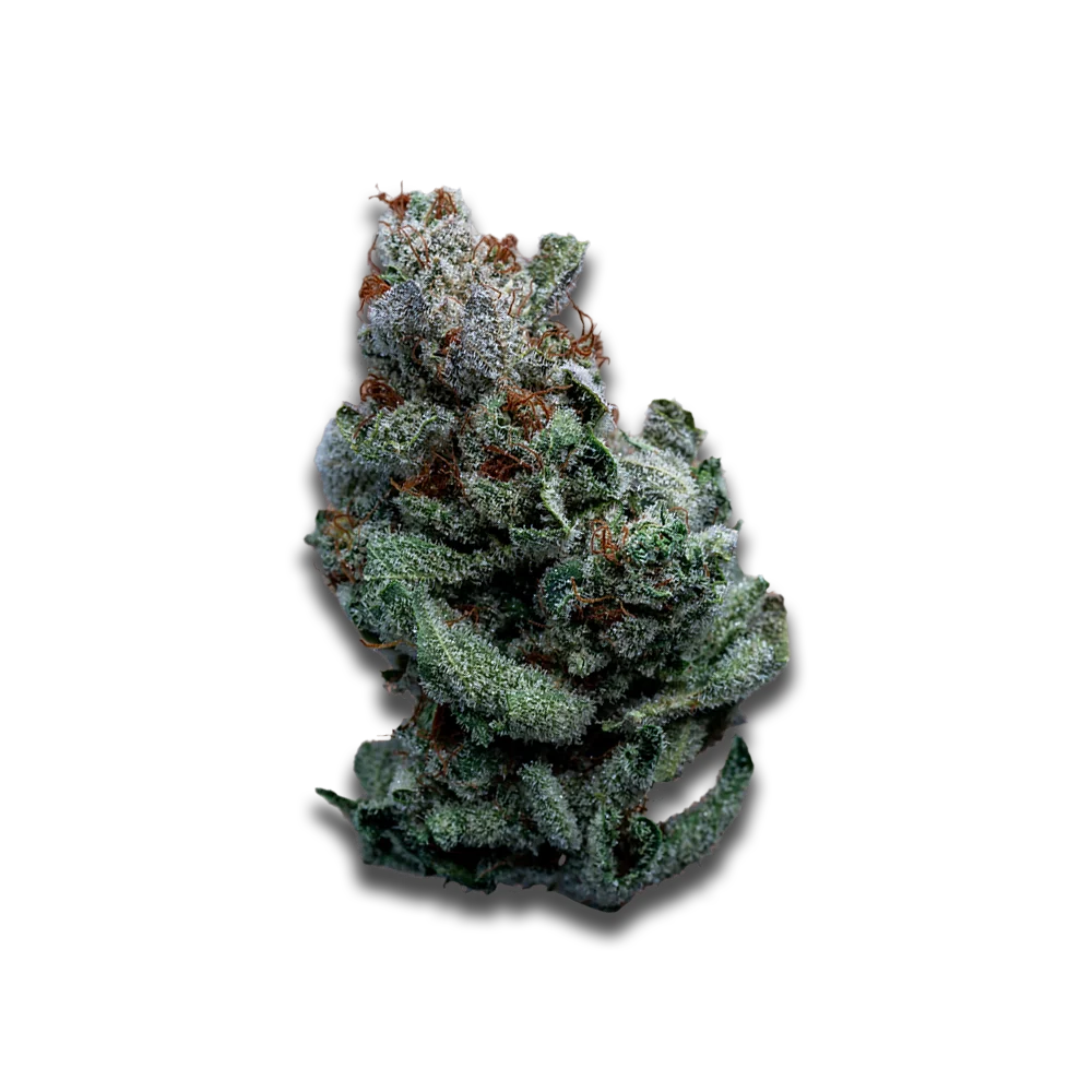 Cannabis flos 24/1 CZE Ku. Platinum Garlic