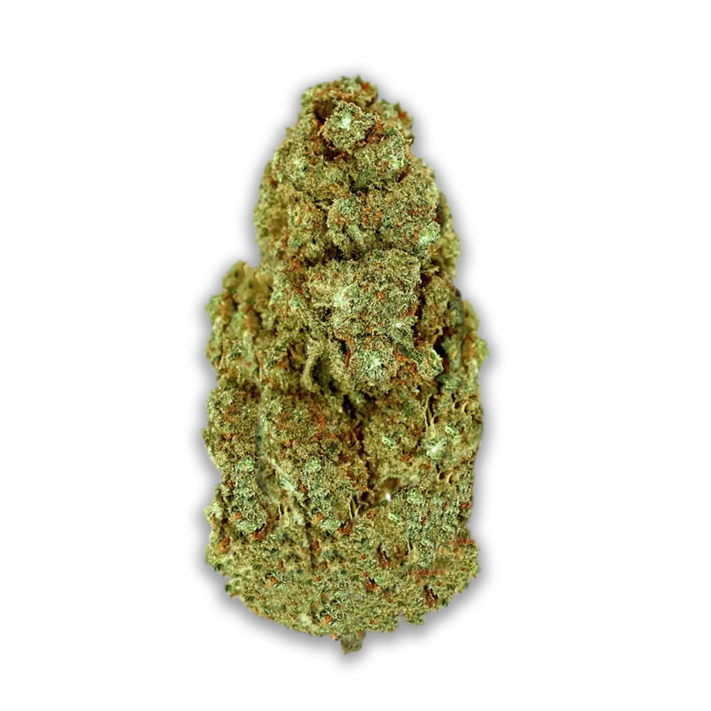 Cannabis flos 8/9 LS Ku. Basotho Even
