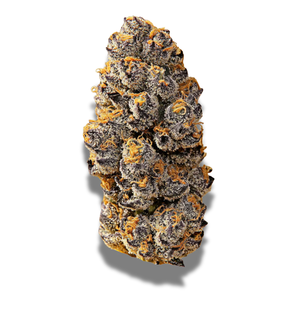 CNBS VV 30/1: Varnish Vapor