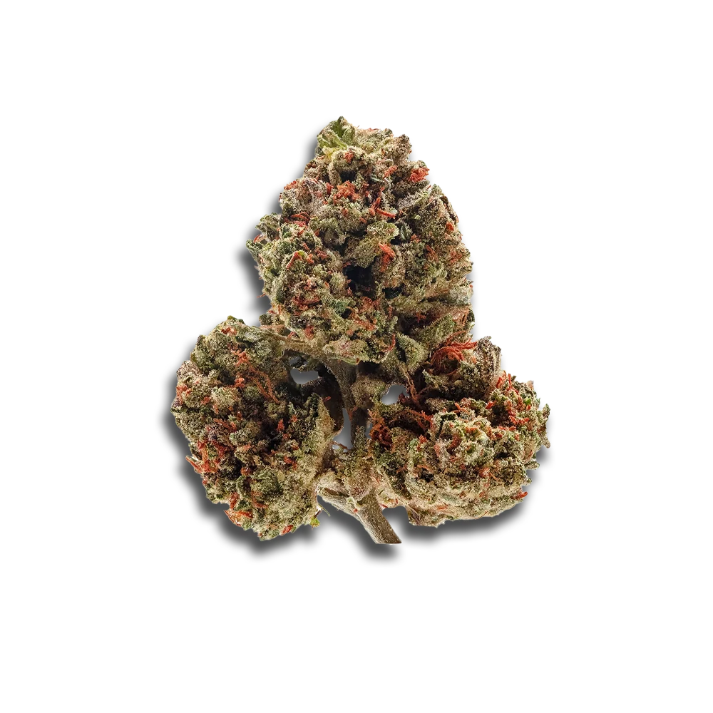 Demecan Core Og 21:01 Og Kush