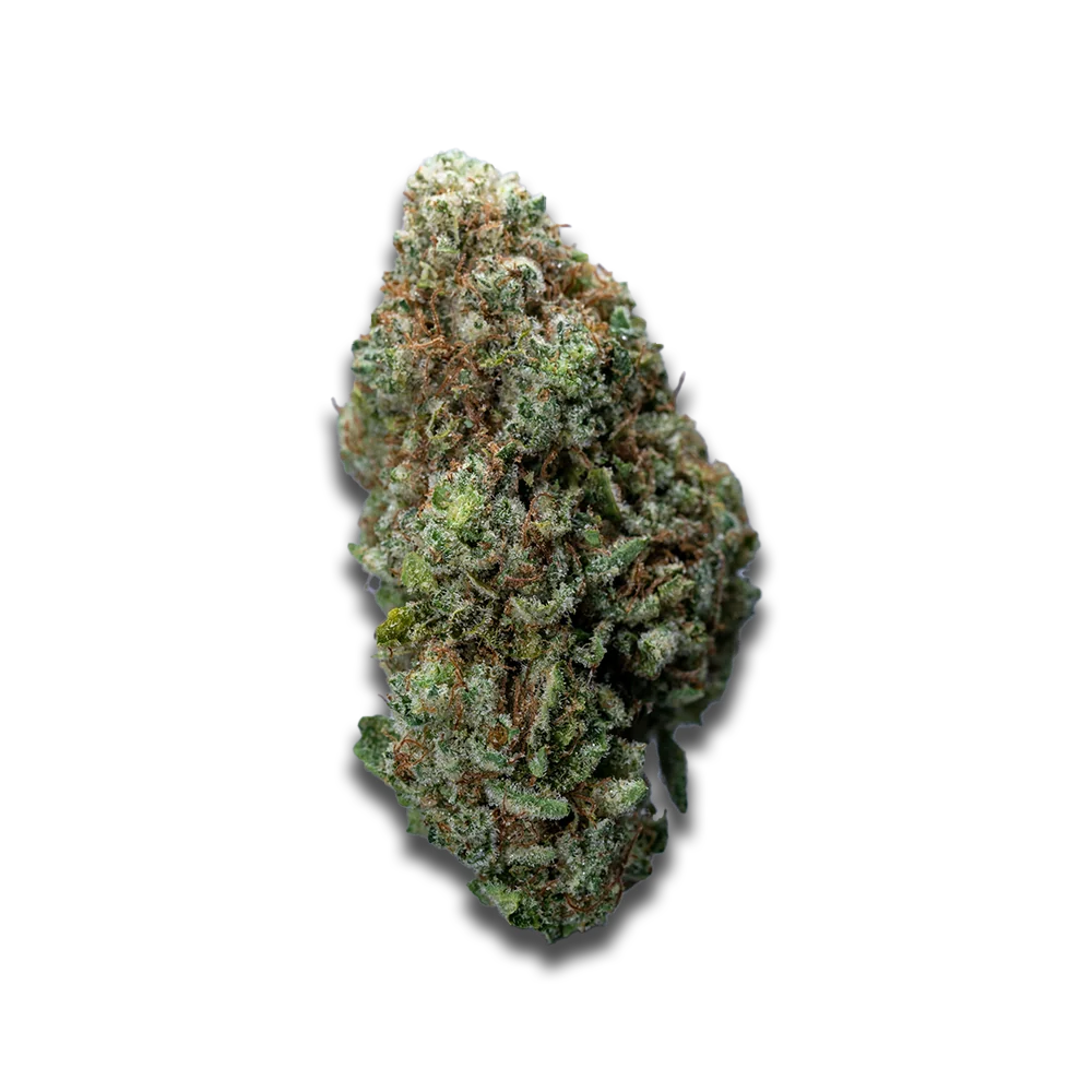 420 Evolution 25/1 Ca Str Star Struck