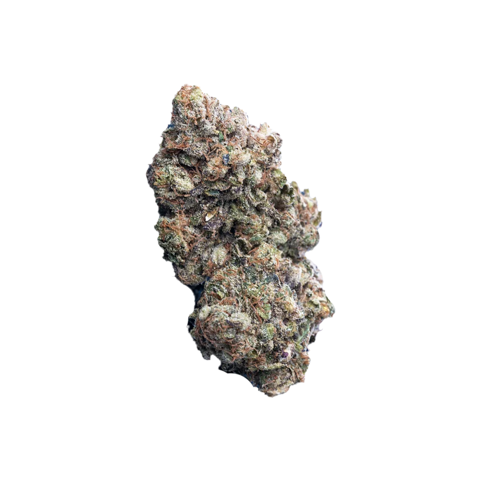 Huala 22/1 Uk Cin Cinderella Kush