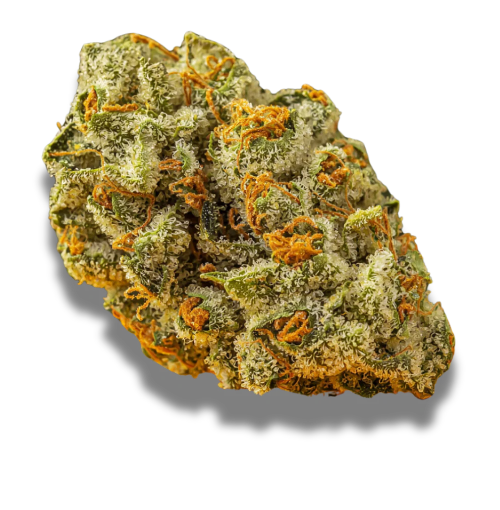 Imc Thc20 T01 Hk Hindu Kush