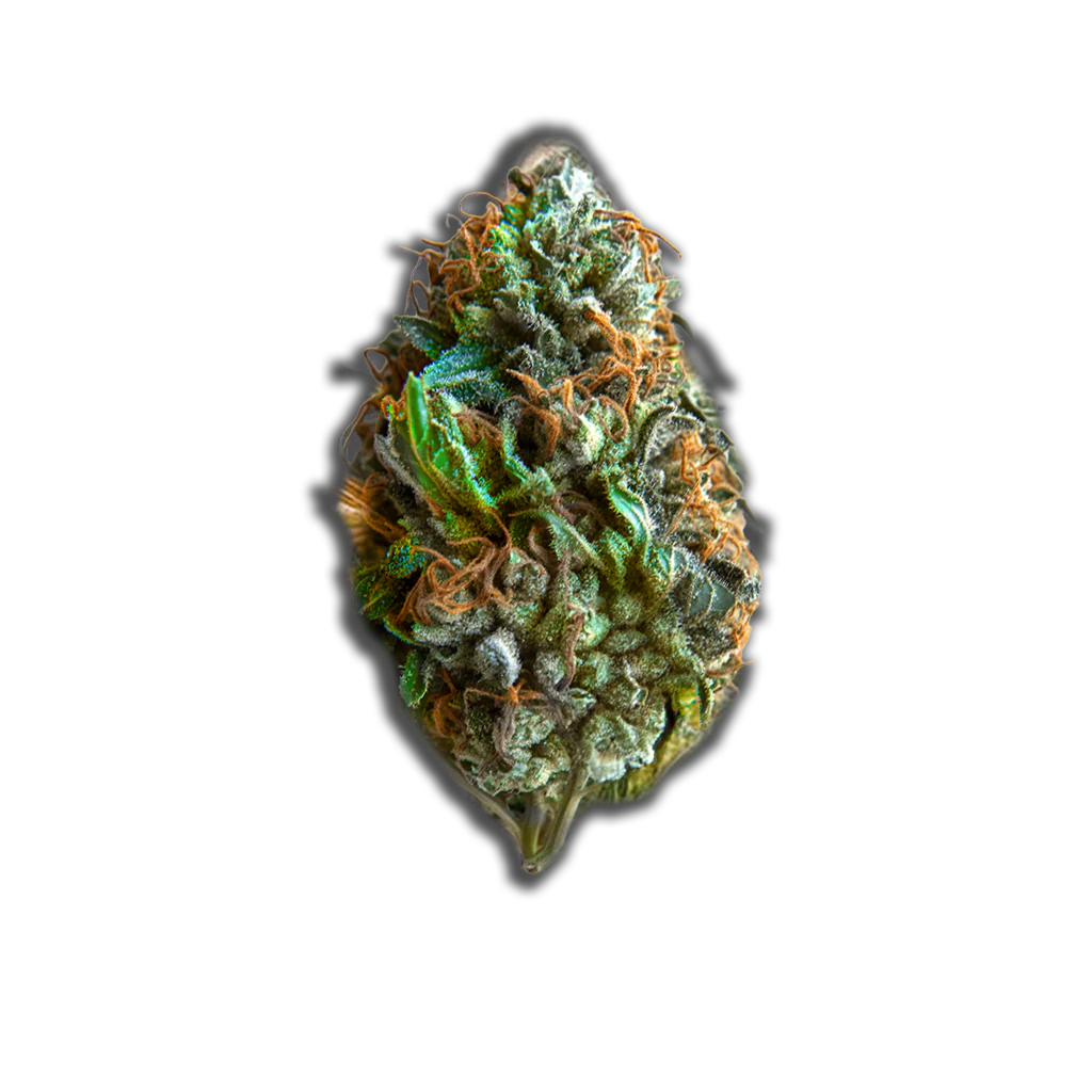 420 Sungrown 18/1 CA DOG: Chemdog