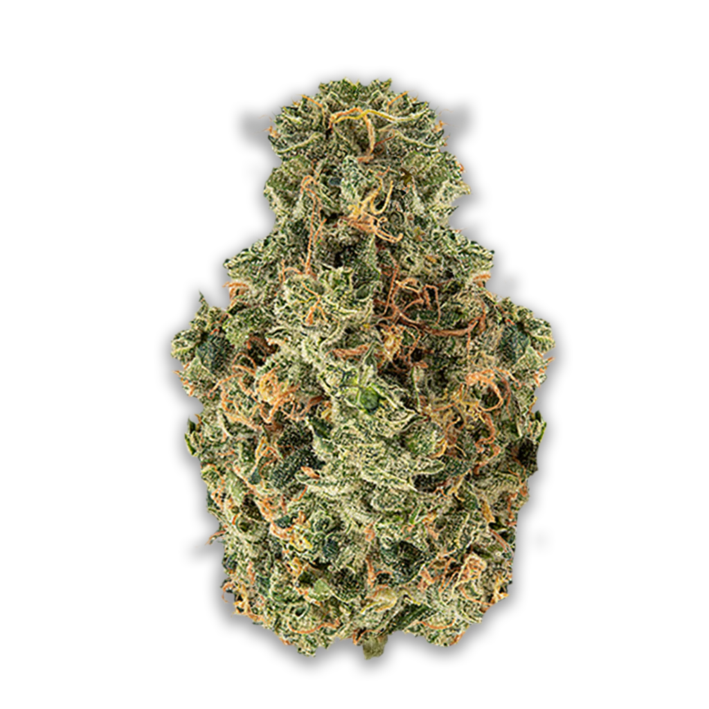 Avaay 32/1 AHC: Amnesia Haze Cake