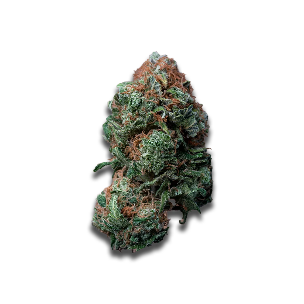 Medical Saints 18/1 HUB: Huckleberry