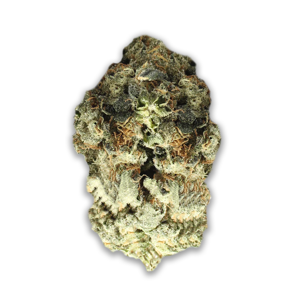 mediproCan Lunaris 25/1: Capri Haze