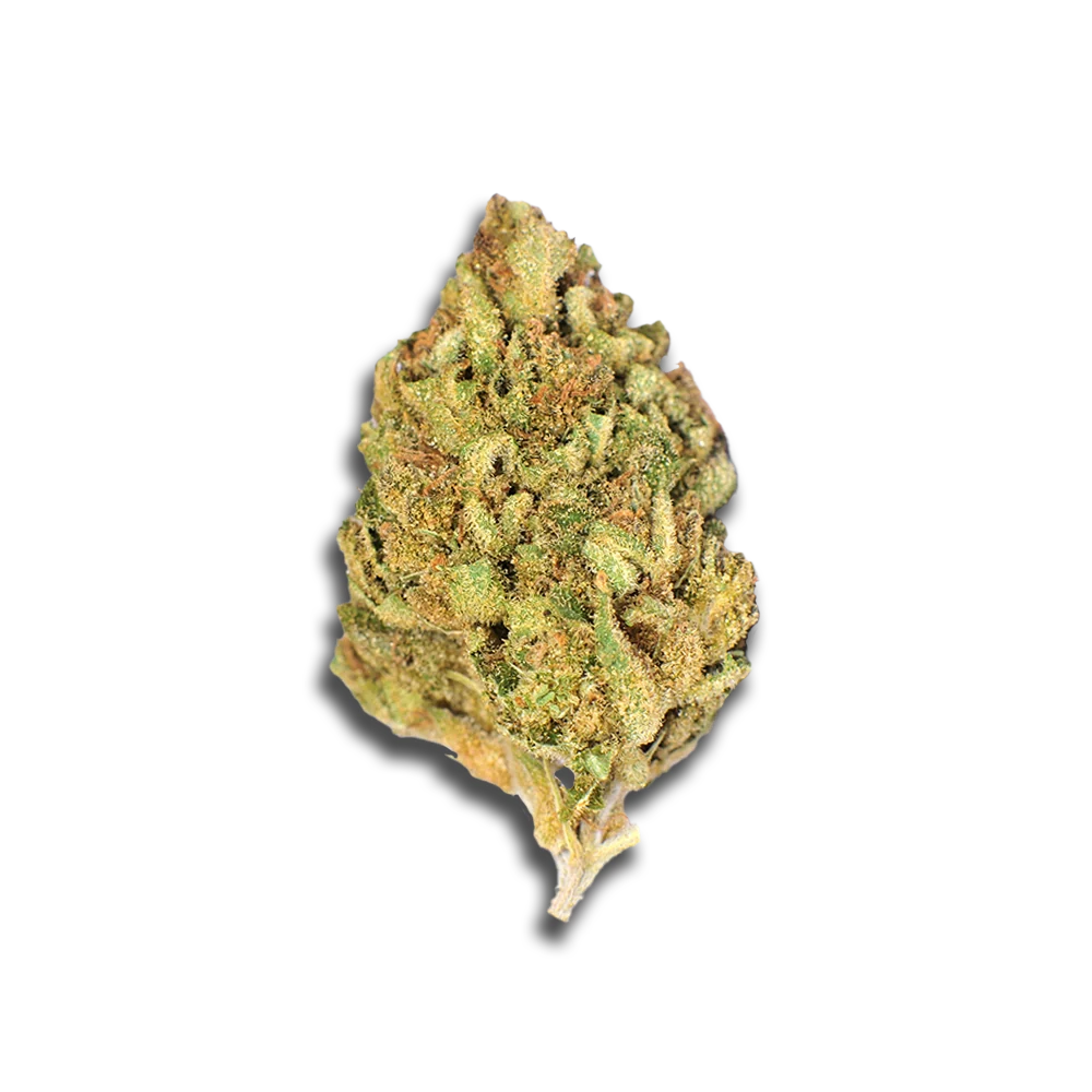 Noc Se 19 Essence