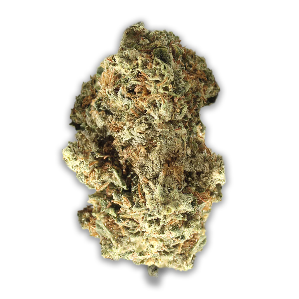 Pedanios 22/1: Ghost Train Haze