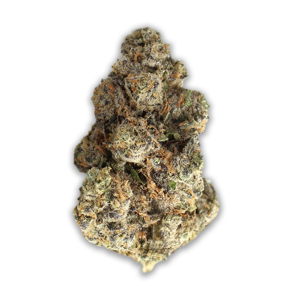 Cannabis Flos 23/1 CSF Ku. Rose Ember