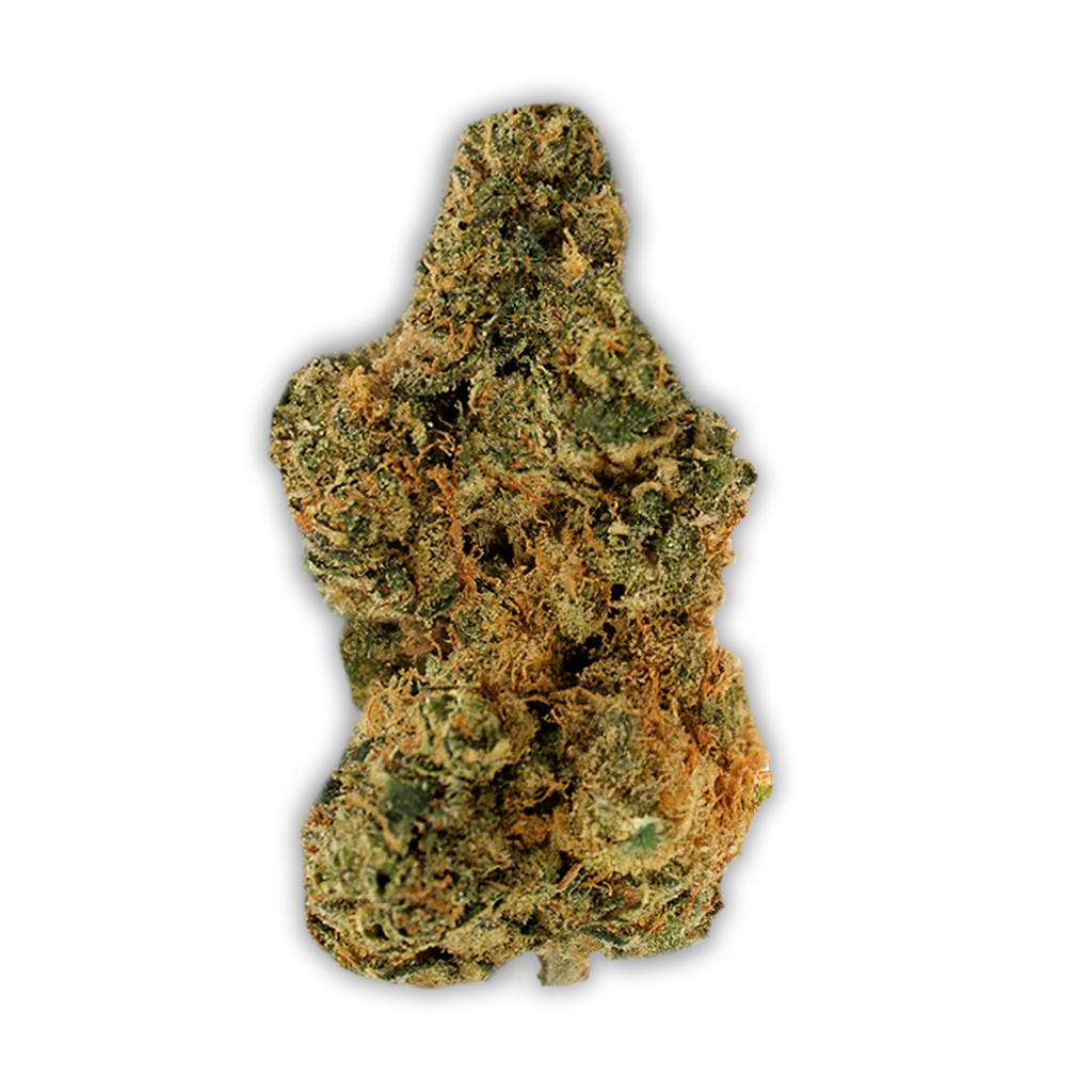 Pedanios 27/1 PND-CA: Pink Diesel