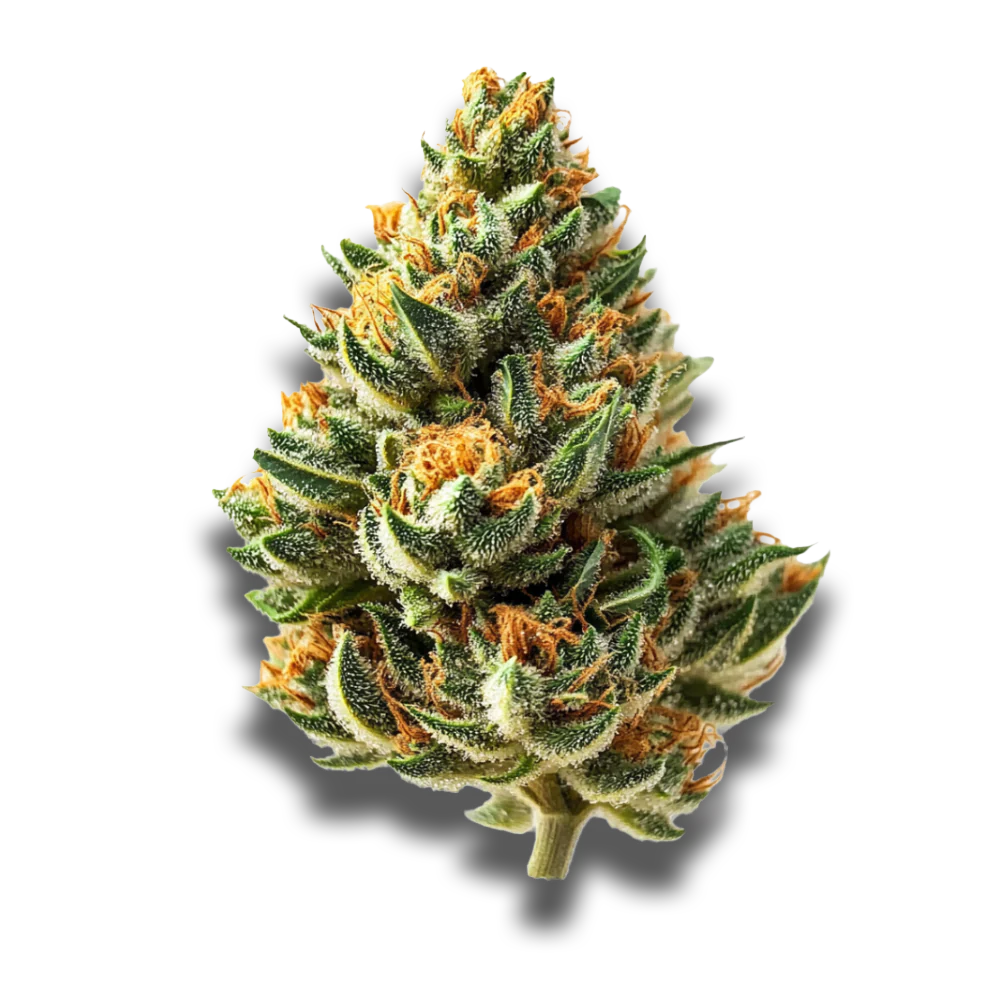 Remexian 16/1: Amnesia Lemon