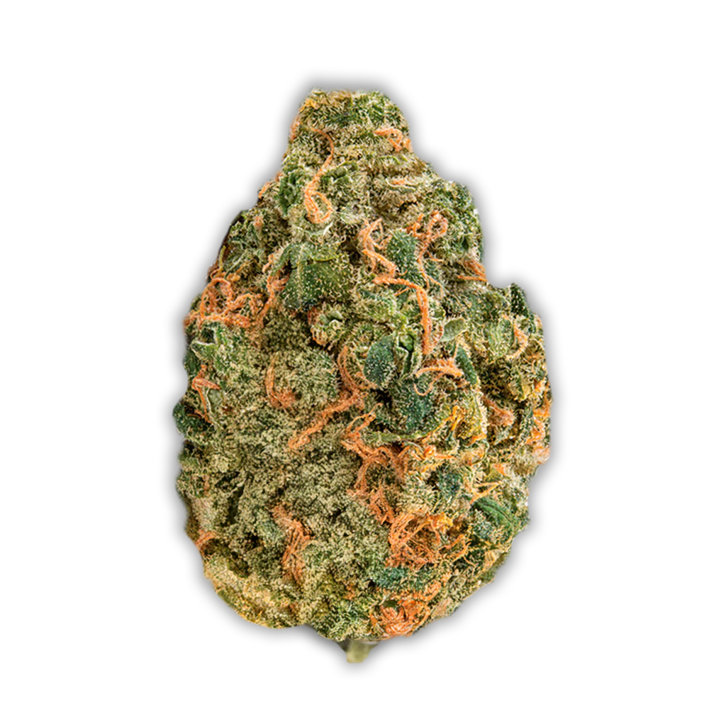 Zoiks 26/1 LK: OG Lime Kush