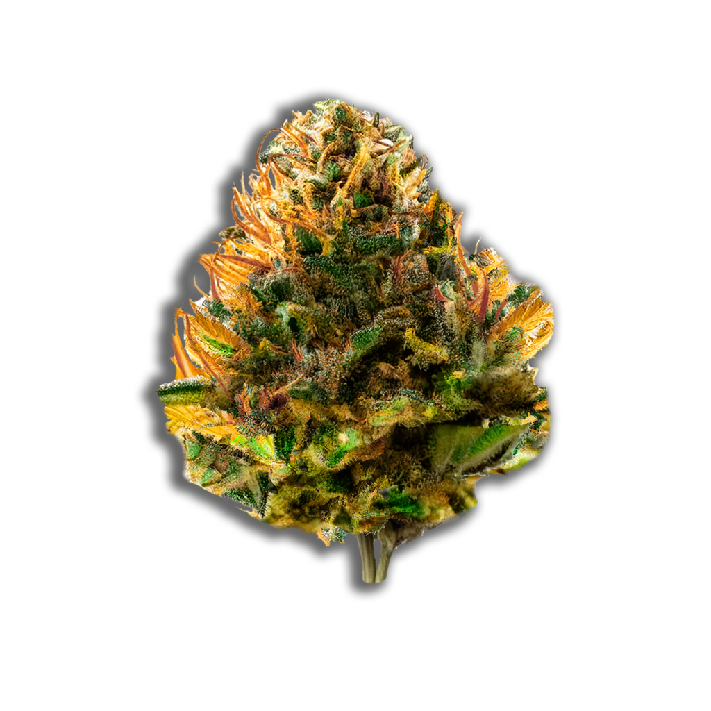 Remexian 30/1 TWE ABR: Alien Breath