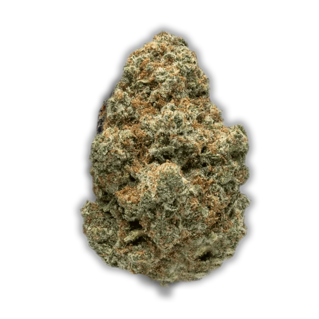 Slouu 22/1 Ps3 Ca Gcb God Cherry Bud