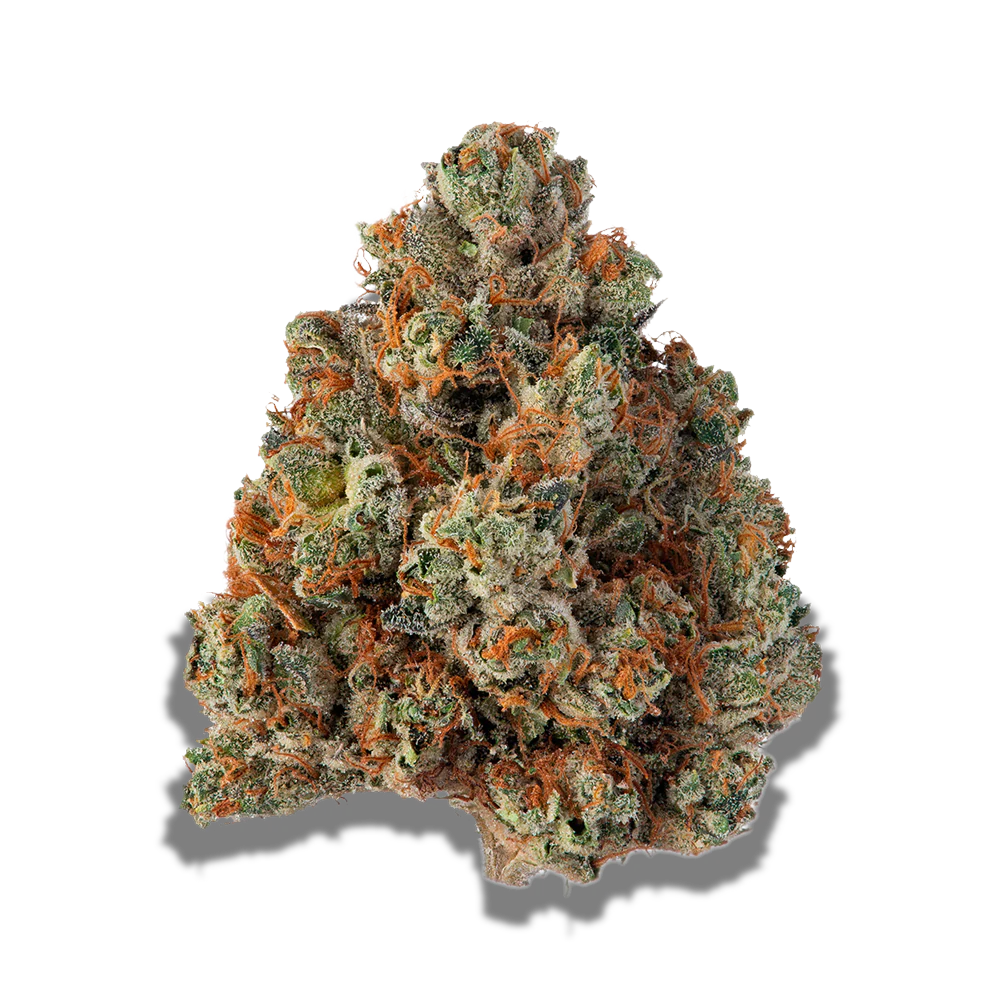 420 Evolution 25/1 CA BUL: Bucket List